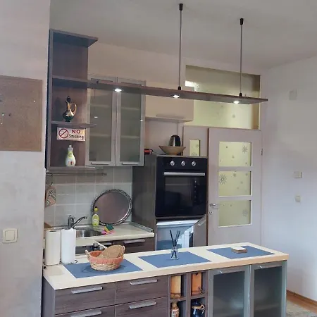 アパート Vlasicki San ヴラシチ