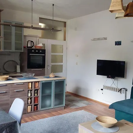 アパート Vlasicki San ヴラシチ